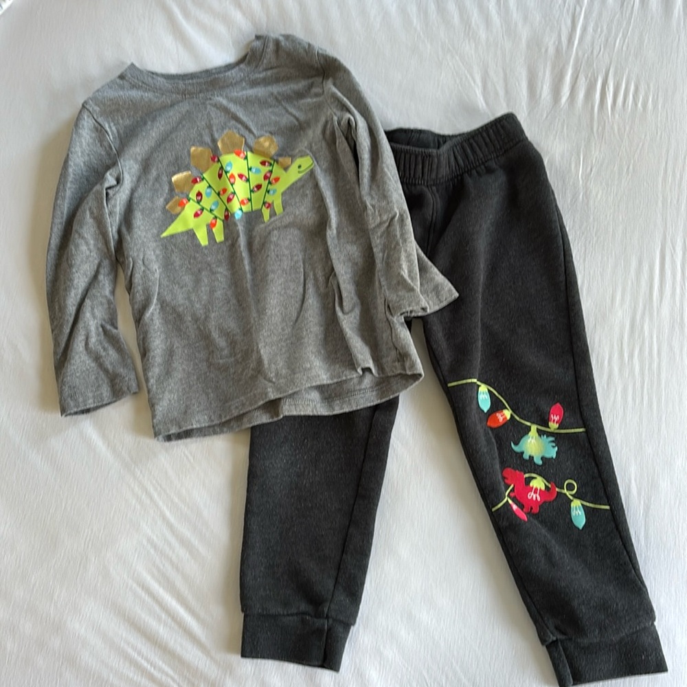 Toddler Matching Dinosaur Set